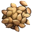 Pumpkin seeds