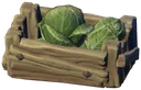 Do Cabbage Crate 01 White