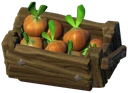 Do Onion Crate 01 Dark