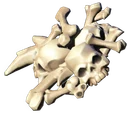 Ro 01 Bones Pile Greenville A2 Gold