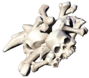 Ro 01 Bones Pile Greenville A2 Gray
