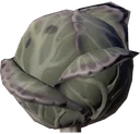 Ro Cabbage Greenville 02 Dry Gray