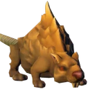 Rat