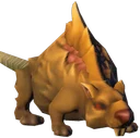 Rat