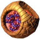 Piece Pie