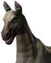 Horse Skinny