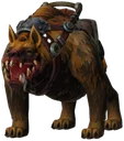 Orange Hyena