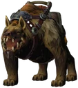 Yellow Hyena