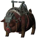 Pig