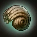 Difesa GuscioTecnologico (Common)