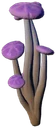 Psycho Mushroom