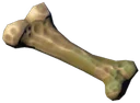 Xương Xác Xơ