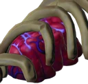 Bones and Brains