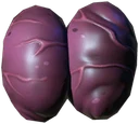 Laceration gonad