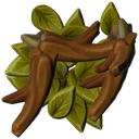 Blattkäferbein