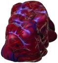 Cervello di Lupo Alpha Clonato