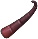 Rat tail