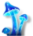 Neon Mushroom