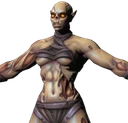 Necroform