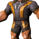 Ashvyr Shell