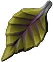 ヴァーダントリーフ